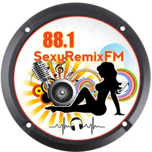 88.1SRMX موجة