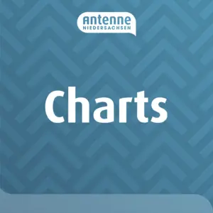 Antenne Niedersachsen Charts مركز
