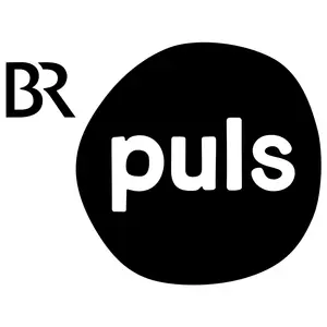 PULS مركز