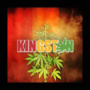DASH Kingston مركز