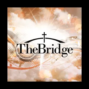 DASH The Bridge نبض