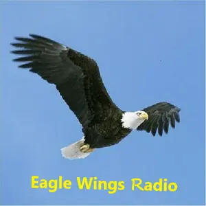 Eagle Wings راديو مركز