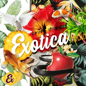 Exotica راديو موجة