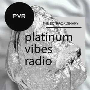 Platinum Vibes راديو مباشر