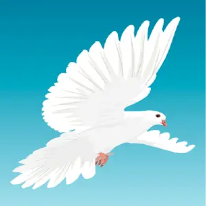 victory4christ راديو مباشر