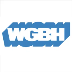 WGBH مباشر