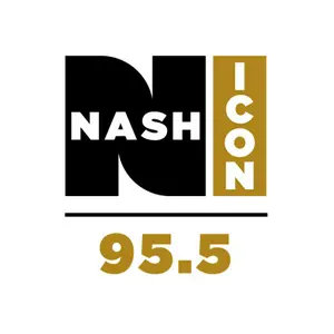 WSM Nash Icon 95.5 إف إم نبض